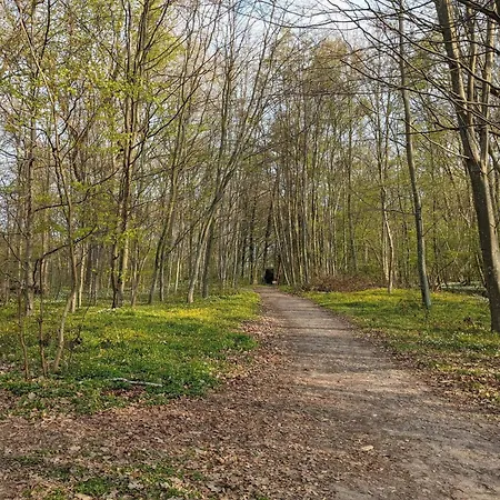 Seaside Retreat With - By Traum בית נופש